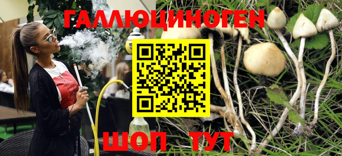 Псилоцибиновые грибы прущие грибы Ливны
