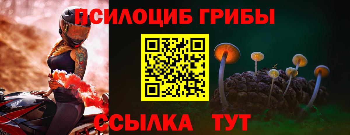 Ливны  Галлюциногенные грибы Cubensis  Вход с VPN 